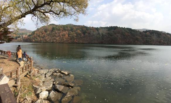 nami Island 남이선 南怡岛