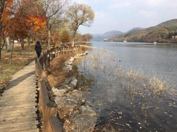 nami Island 남이선 南怡岛