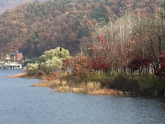 zip wire to nami Island 남이선 南怡岛