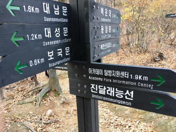 another-1-9km-to-academy-info-centre-this-part-really-really-hard