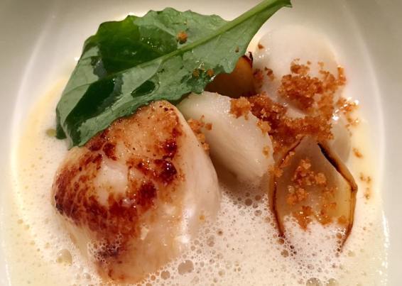 confit of hokkaido scallop