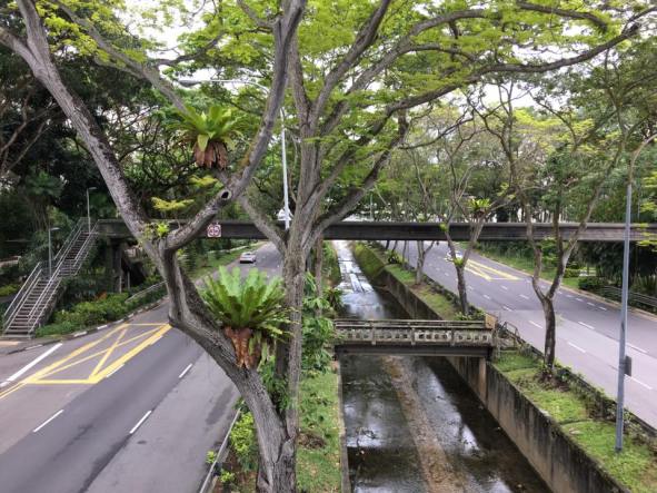 view from rail crossing over bukit timah & dunneran road