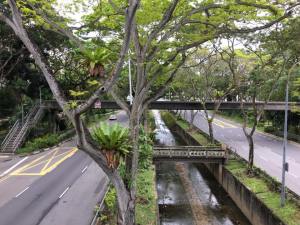 view from rail crossing over bukit timah & dunneran road