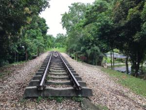 going down to hindhede drive