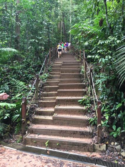 the last flight of steps to summit 