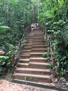the last flight of steps to summit