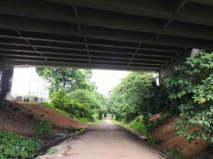 jln anak bukit flyover