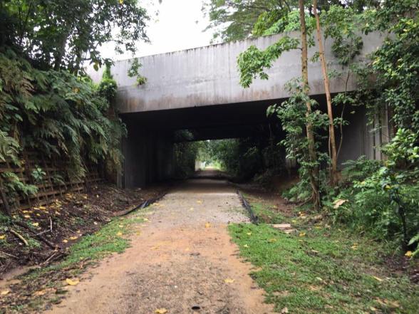 jln anak bukit flyover