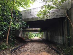 jln anak bukit flyover