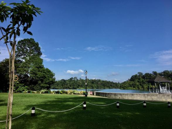 walk at macritchie