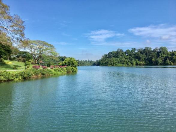walk at macritchie