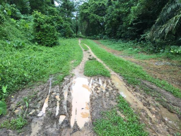 long jump obstacles -muddy caused by heavy vehicles