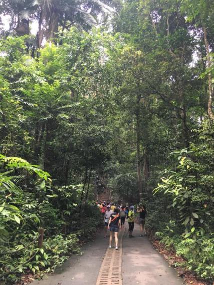 reaching the last flight of steps to summit