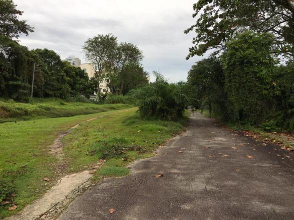 paved road on the right to bukit timah road near king albert oark