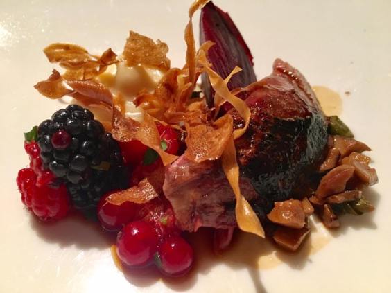 roast pigeon with winter berries