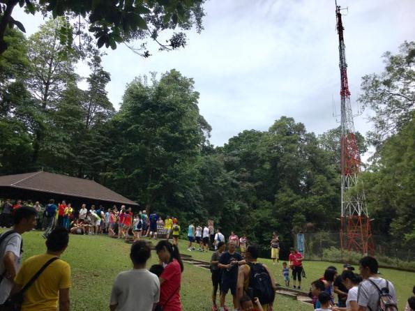 the summit & telecomm tower