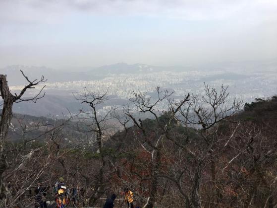 view-from-near-the-top2