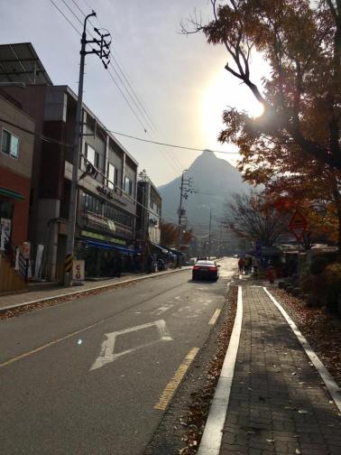 walking-to-the-trailhead2