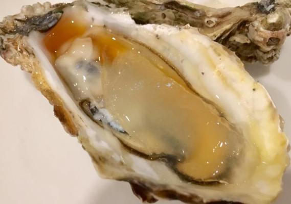 wed ladies night S$2 oysters with yuzu jelly