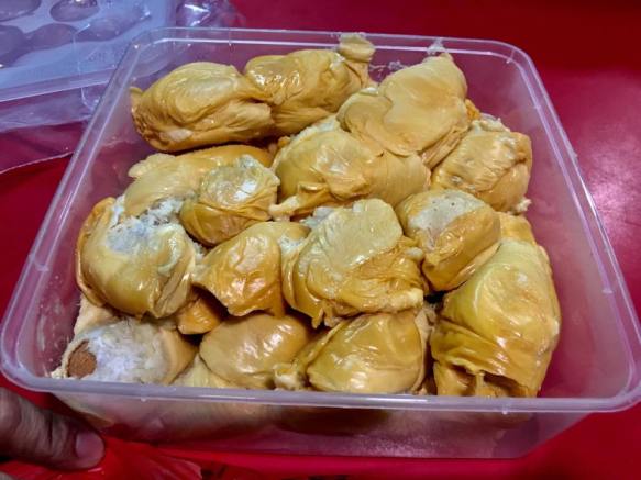 D13 durians from sin kian choon
