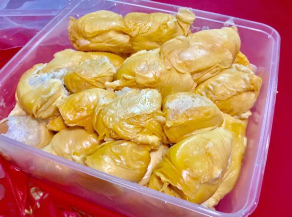 D13 durians from sin kian choon