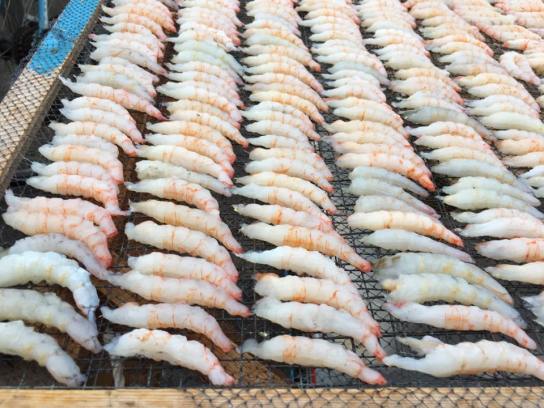 sunning shrimps for dry shrimps (hae bee)
