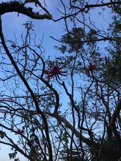 walking along peak circle route