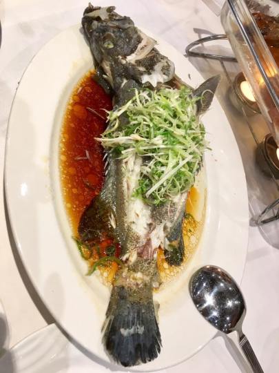 steamed live 1kg garoupa HK$58