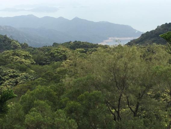 view of shek pik reservoir from big buddha