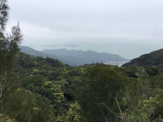 view of shek pik reservoir from big buddha