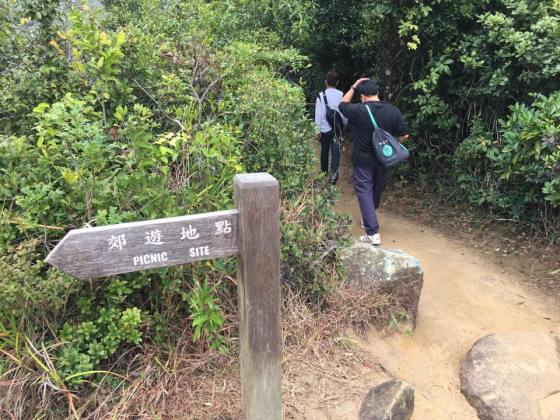 dragon's back trail - going up