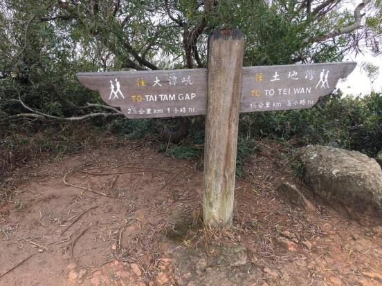 dragonss back trail - going direction of tai tam gap