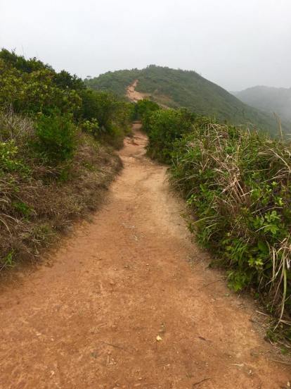 dragon's back trail - more ups & downs