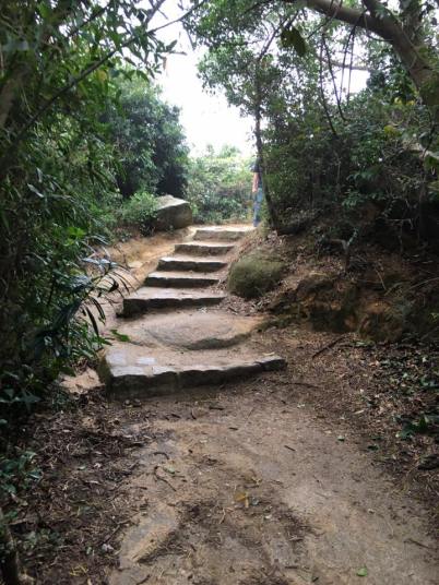 dragons back trail - going up