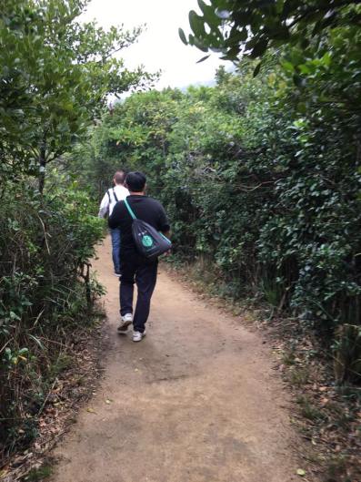 dragons back trail - going up