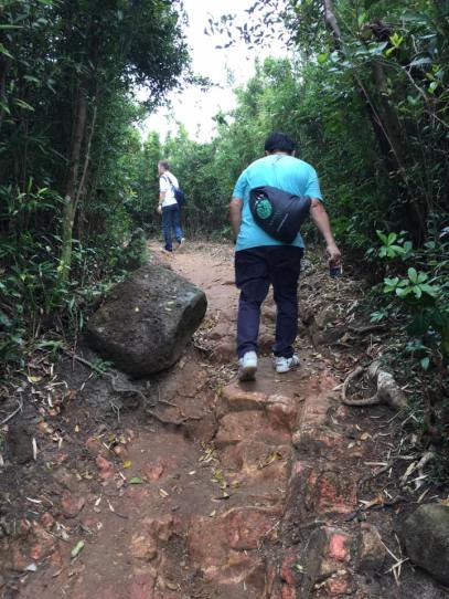 dragon's back trail - more ups & downs