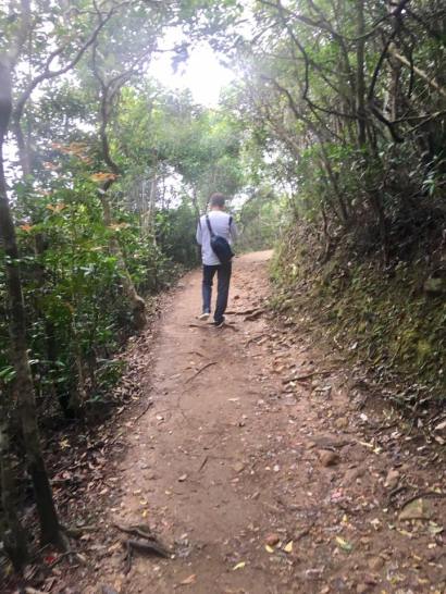 dragon's back - the way down