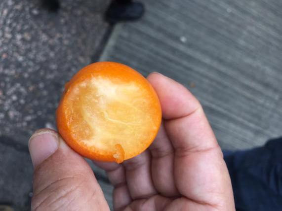 kam kuat 金桔 @ shau kei wan street market 