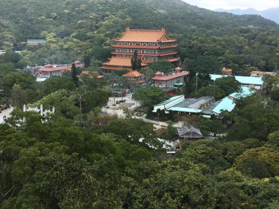 view of po lin monastry from big buddha